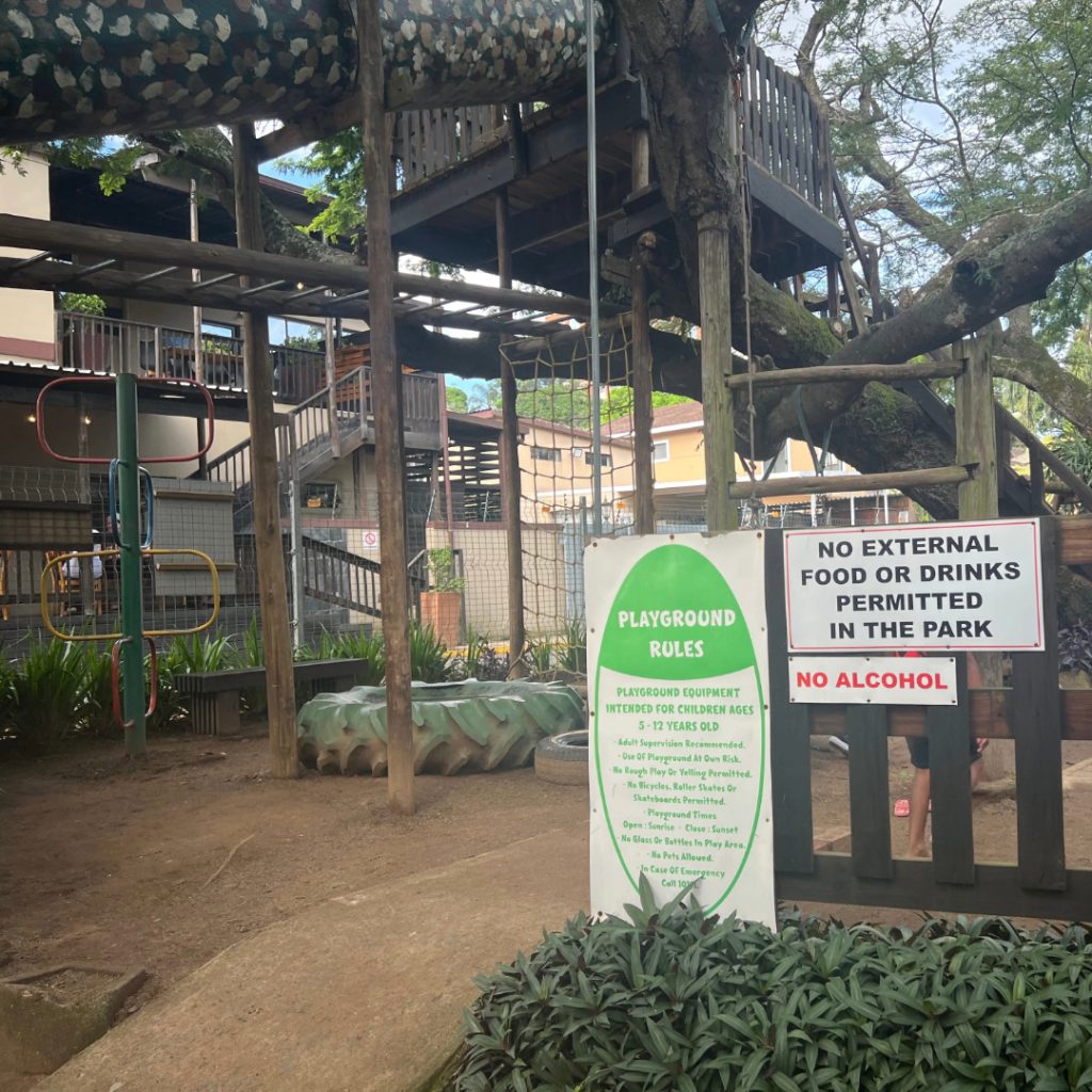 Playground Bunny Zone